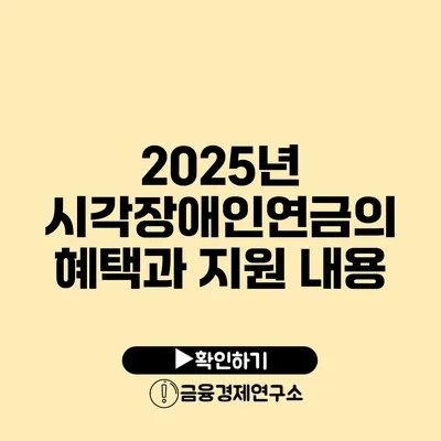 2025년 시각장애인연금의 혜택과 지원 내용