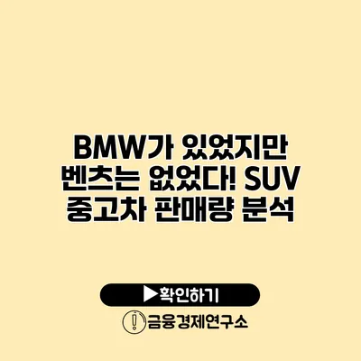 BMW가 있었지만 벤츠는 없었다! SUV 중고차 판매량 분석