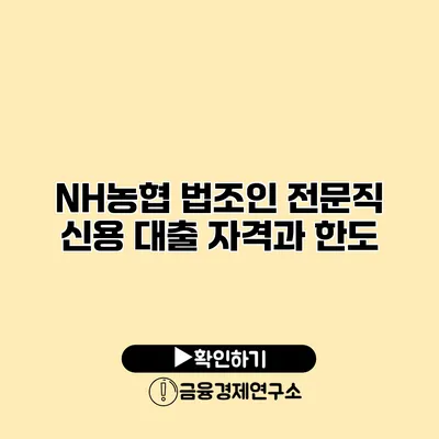 NH농협 법조인 전문직 신용 대출 자격과 한도