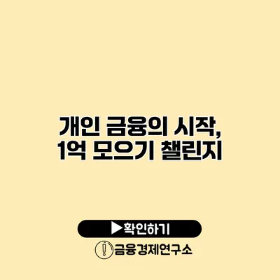 개인 금융의 시작, 1억 모으기 챌린지