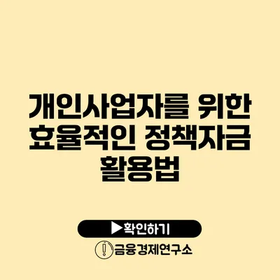 개인사업자를 위한 효율적인 정책자금 활용법