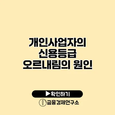 개인사업자의 신용등급 오르내림의 원인