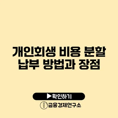 개인회생 비용 분할 납부 방법과 장점