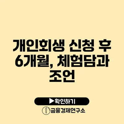 개인회생 신청 후 6개월, 체험담과 조언