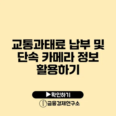 교통과태료 납부 및 단속 카메라 정보 활용하기