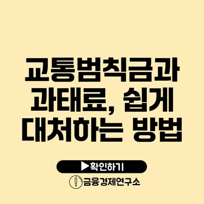 교통범칙금과 과태료, 쉽게 대처하는 방법