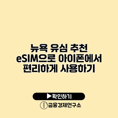 뉴욕 유심 추천 eSIM으로 아이폰에서 편리하게 사용하기