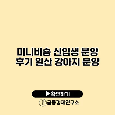 미니비숑 신입생 분양 후기 일산 강아지 분양