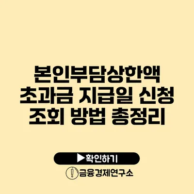 본인부담상한액 초과금 지급일 신청 조회 방법 총정리