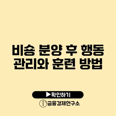 비숑 분양 후 행동 관리와 훈련 방법