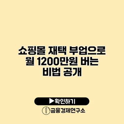 쇼핑몰 재택 부업으로 월 1200만원 버는 비법 공개