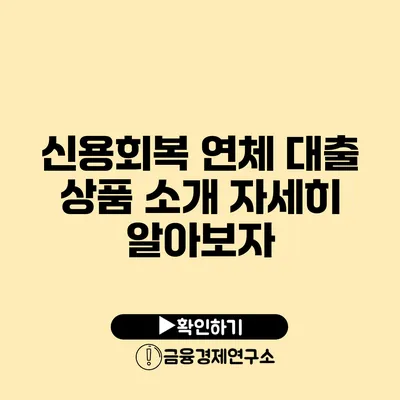 신용회복 연체 대출 상품 소개 자세히 알아보자