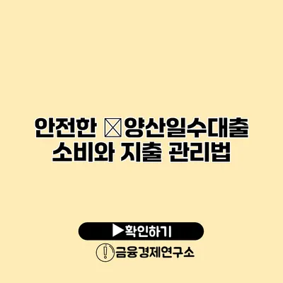 안전한 �양산일수대출 소비와 지출 관리법