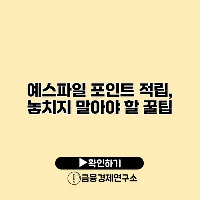 예스파일 포인트 적립, 놓치지 말아야 할 꿀팁