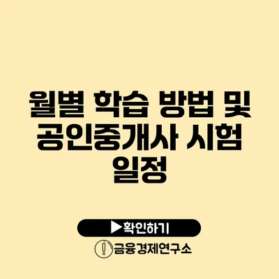 월별 학습 방법 및 공인중개사 시험 일정