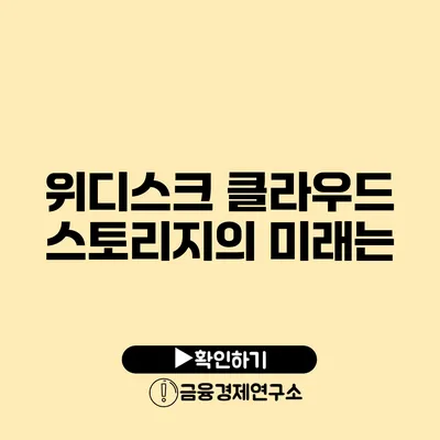 위디스크 클라우드 스토리지의 미래는?