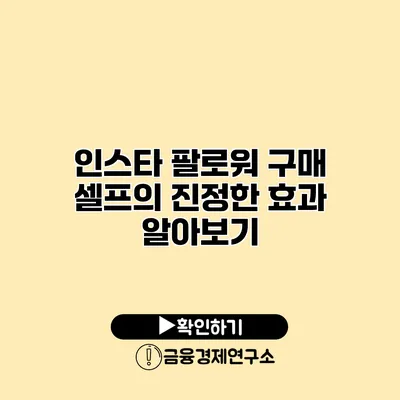 인스타 팔로워 구매 셀프의 진정한 효과 알아보기