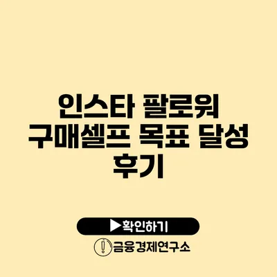 인스타 팔로워 구매셀프 목표 달성 후기