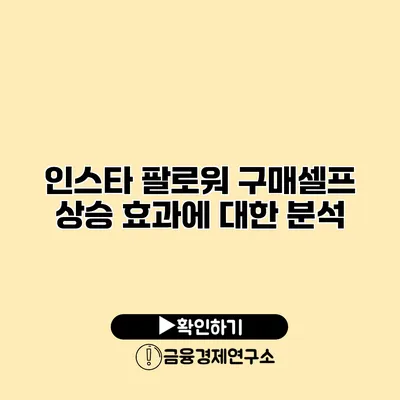 인스타 팔로워 구매셀프 상승 효과에 대한 분석