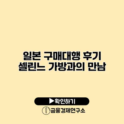 일본 구매대행 후기 셀린느 가방과의 만남