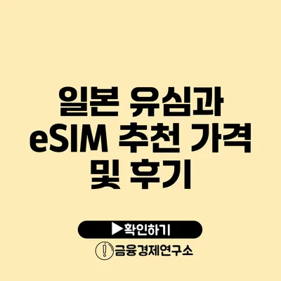 일본 유심과 eSIM 추천 가격 및 후기