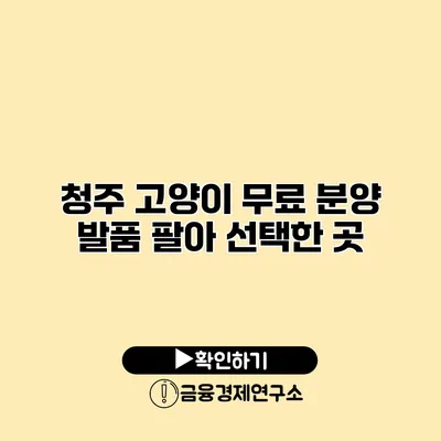 청주 고양이 무료 분양 발품 팔아 선택한 곳