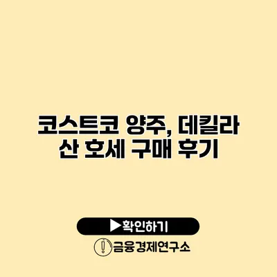 코스트코 양주, 데킬라 산 호세 구매 후기