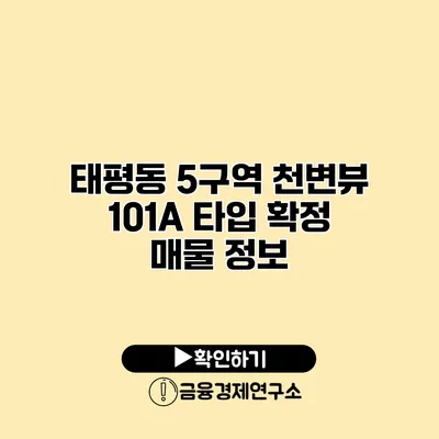 태평동 5구역 천변뷰 101A 타입 확정 매물 정보