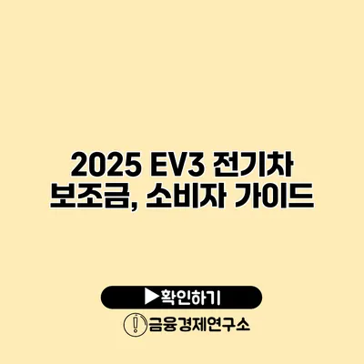 2025 EV3 전기차 보조금, 소비자 가이드