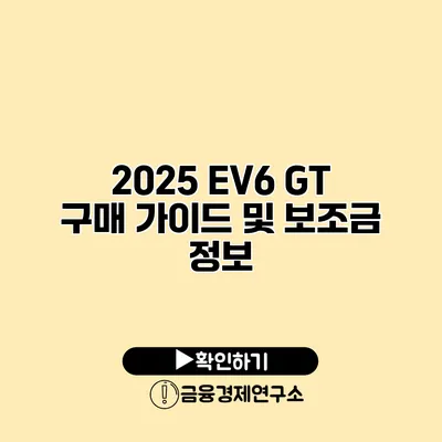 2025 EV6 GT 구매 가이드 및 보조금 정보