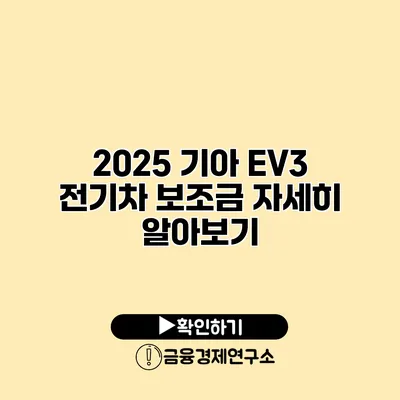 2025 기아 EV3 전기차 보조금 자세히 알아보기