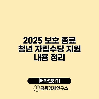2025 보호 종료 청년 자립수당 지원 내용 정리