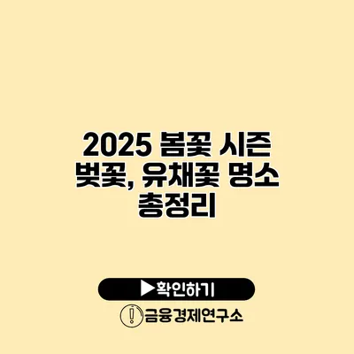 2025 봄꽃 시즌 벚꽃, 유채꽃 명소 총정리