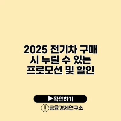 2025 전기차 구매 시 누릴 수 있는 프로모션 및 할인
