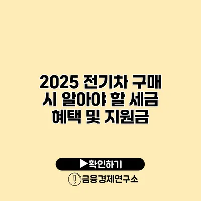2025 전기차 구매 시 알아야 할 세금 혜택 및 지원금