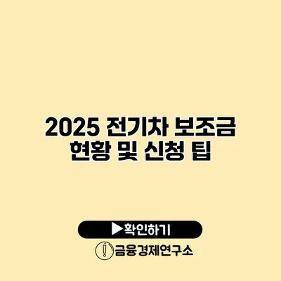 2025 전기차 보조금 현황 및 신청 팁