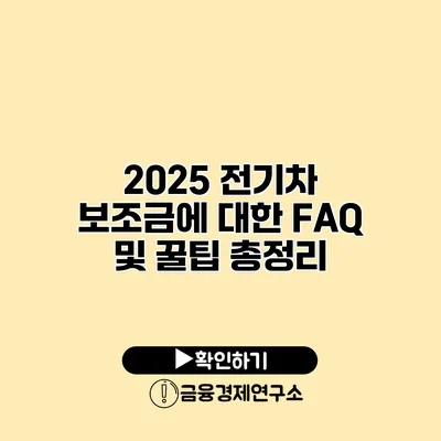 2025 전기차 보조금에 대한 FAQ 및 꿀팁 총정리