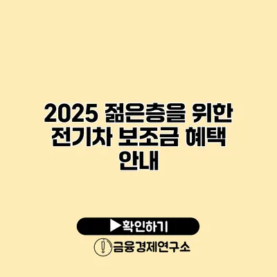 2025 젊은층을 위한 전기차 보조금 혜택 안내