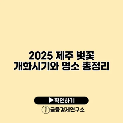2025 제주 벚꽃 개화시기와 명소 총정리