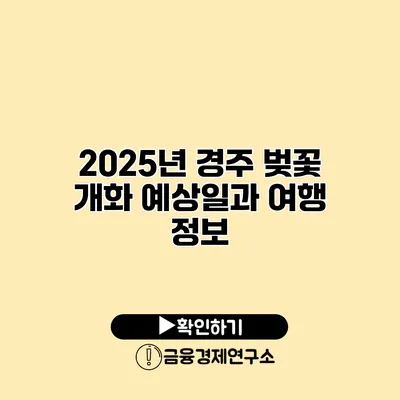 2025년 경주 벚꽃 개화 예상일과 여행 정보