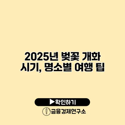 2025년 벚꽃 개화 시기, 명소별 여행 팁