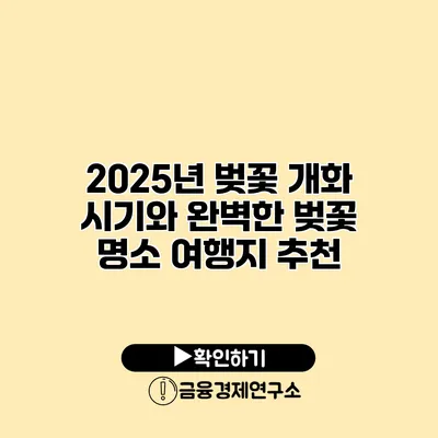 2025년 벚꽃 개화 시기와 완벽한 벚꽃 명소 여행지 추천