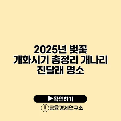 2025년 벚꽃 개화시기 총정리 개나리 진달래 명소