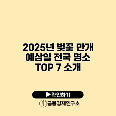 2025년 벚꽃 만개 예상일 전국 명소 TOP 7 소개