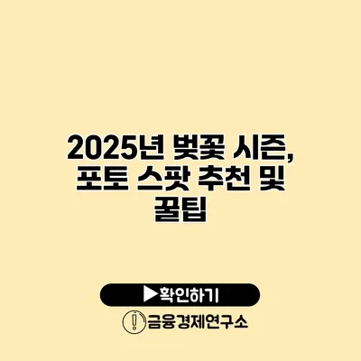 2025년 벚꽃 시즌, 포토 스팟 추천 및 꿀팁
