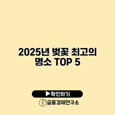 2025년 벚꽃 최고의 명소 TOP 5