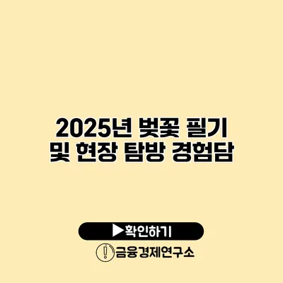 2025년 벚꽃 필기 및 현장 탐방 경험담