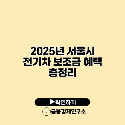 2025년 서울시 전기차 보조금 혜택 총정리
