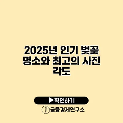 2025년 인기 벚꽃 명소와 최고의 사진 각도