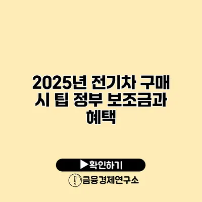 2025년 전기차 구매 시 팁 정부 보조금과 혜택